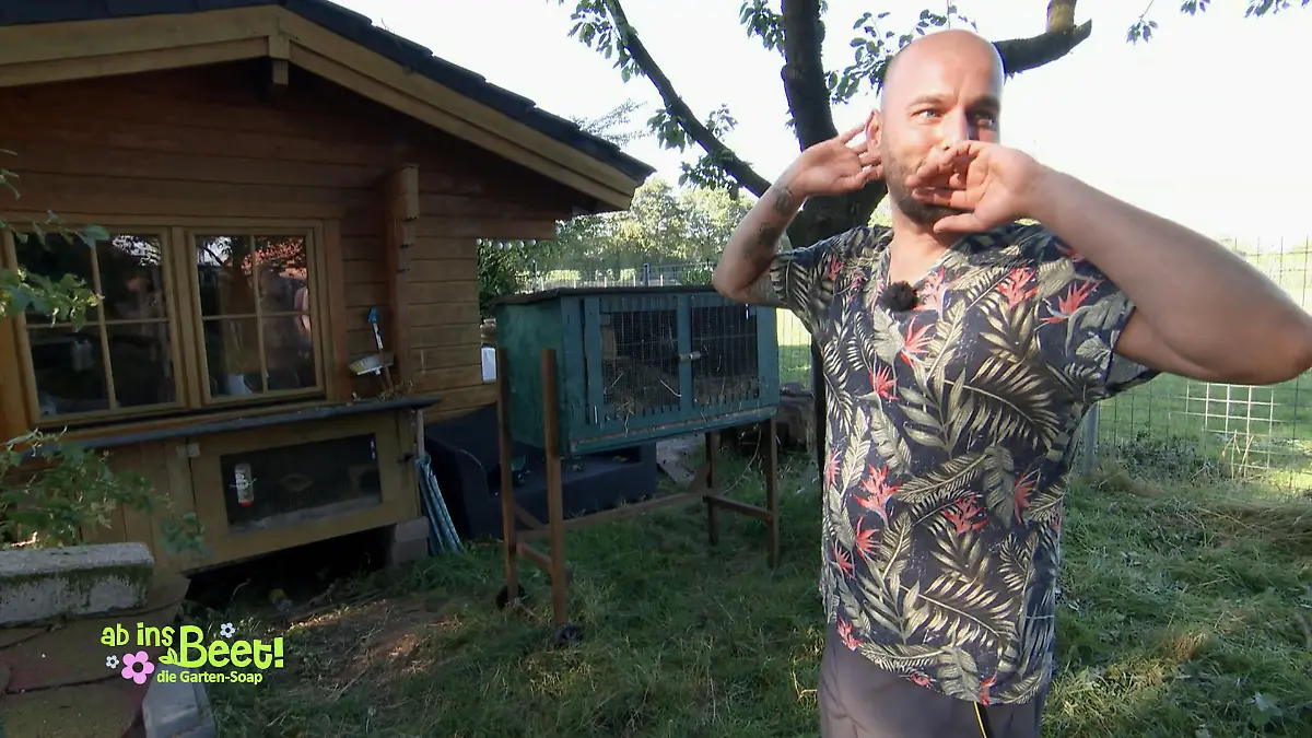Schwerer Sturm bei Frank und Dennis 2 geschockte Meerschweinchen