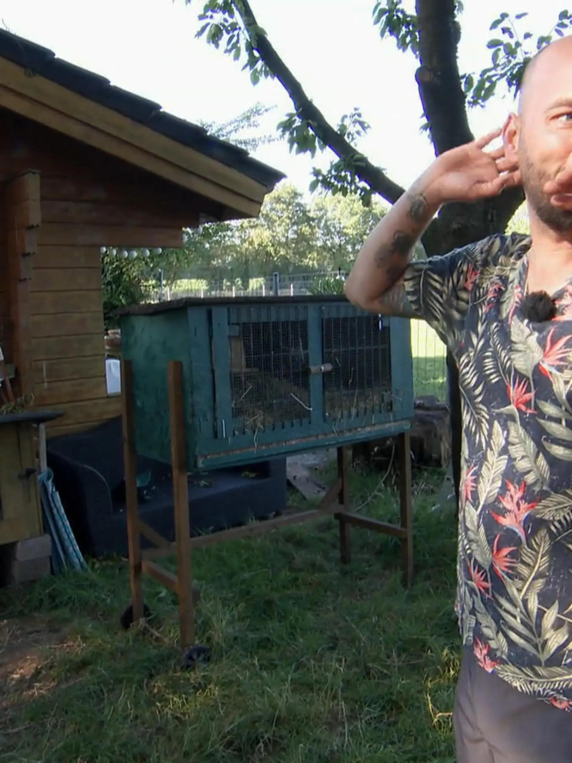 Bild zu: "Schwerer Sturm bei Frank und Dennis"