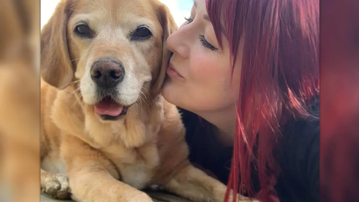 Hündin Sasha mit ihrem Frauchen Megan Marshall