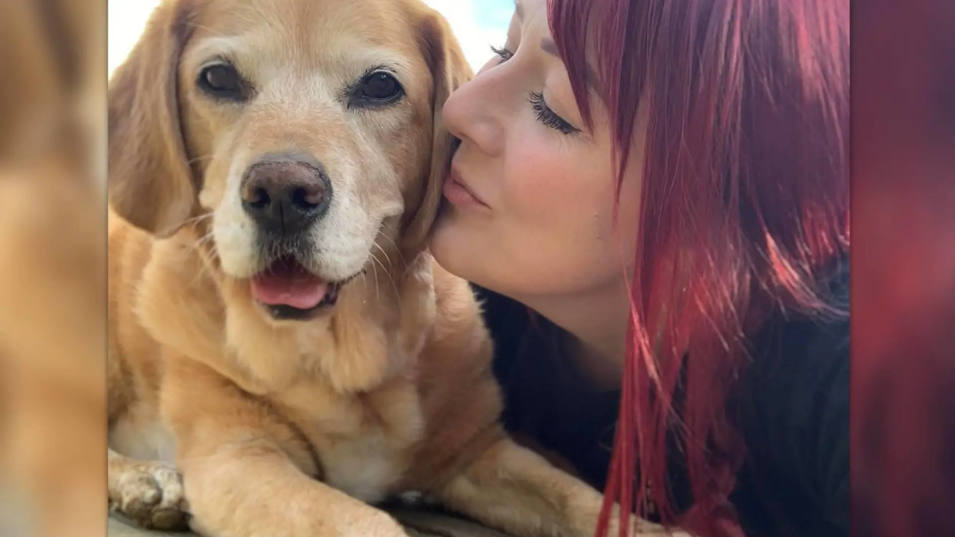 Hündin Sasha mit ihrem Frauchen Megan Marshall