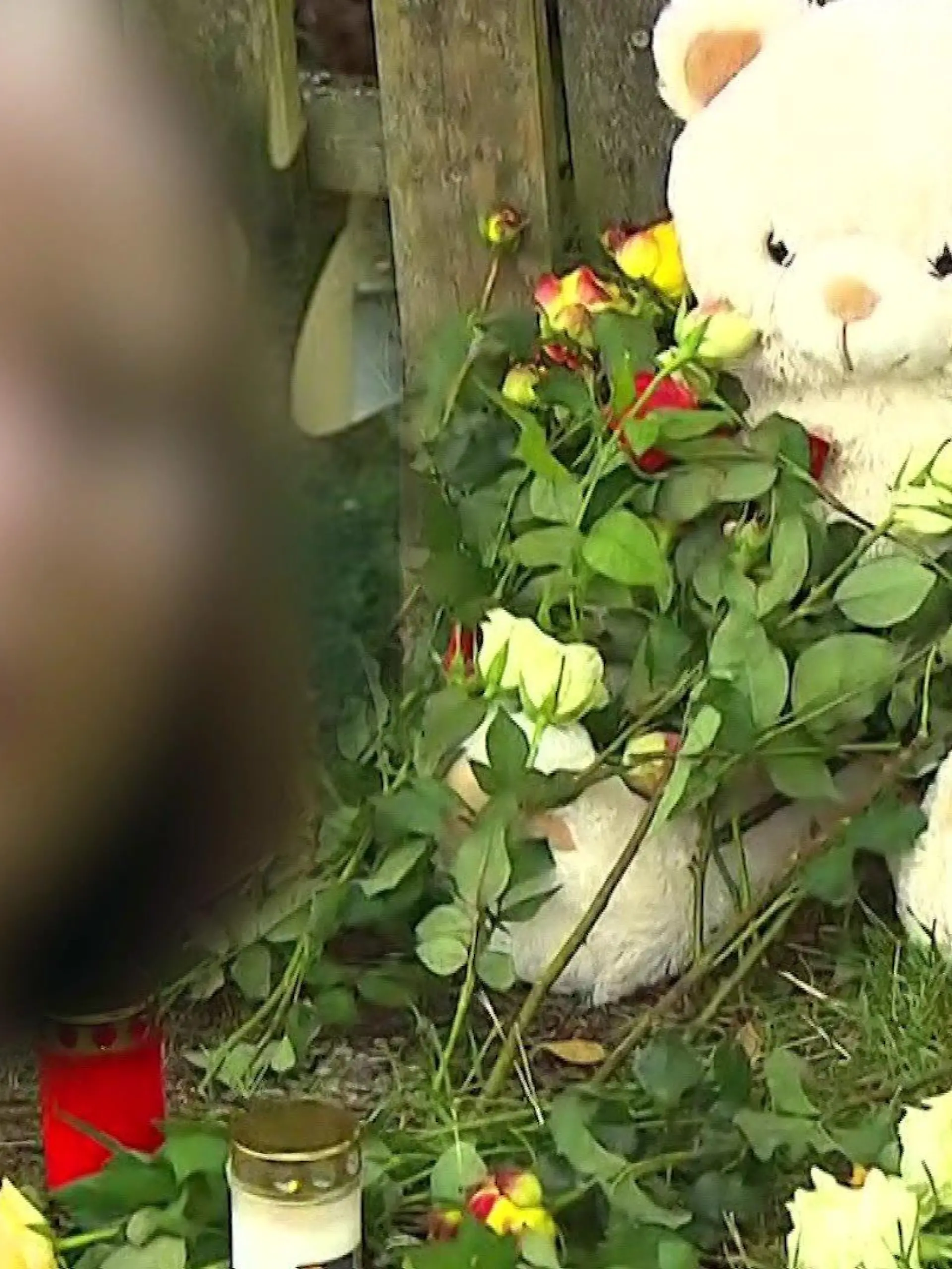 Ein unkenntlich gemachtes Bild von Marie Sophie, dahinter ein Trauer-Teddy.