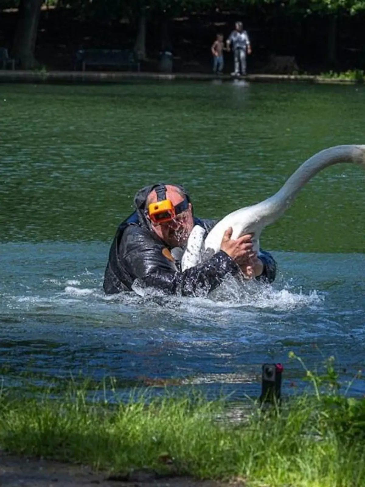 Tierretter Stefan Bröckling vom Verein Tiernotruf.de fing den Schwan ein.