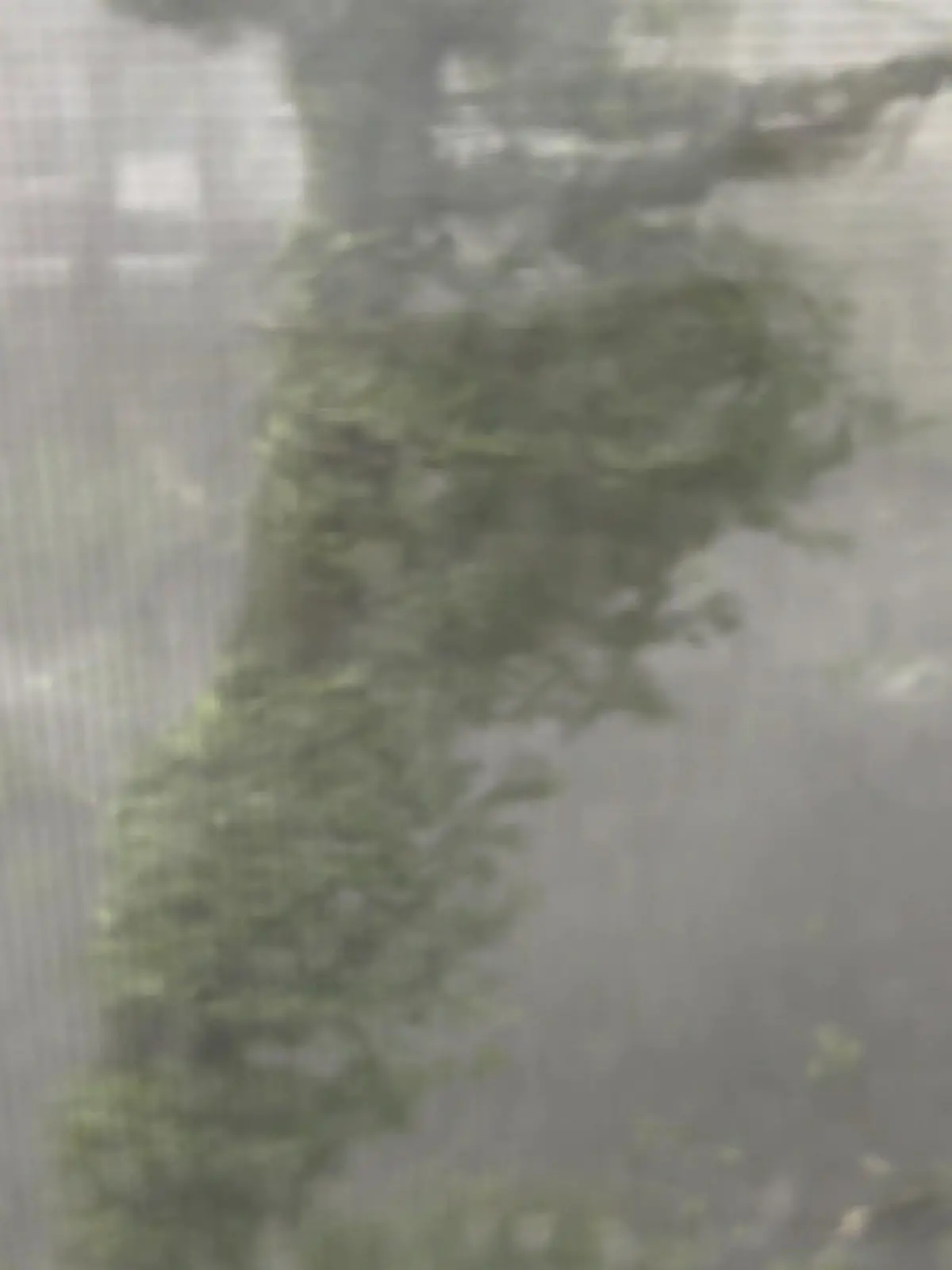 Bild zu: "Orkanartiger Sturm in Hagen"