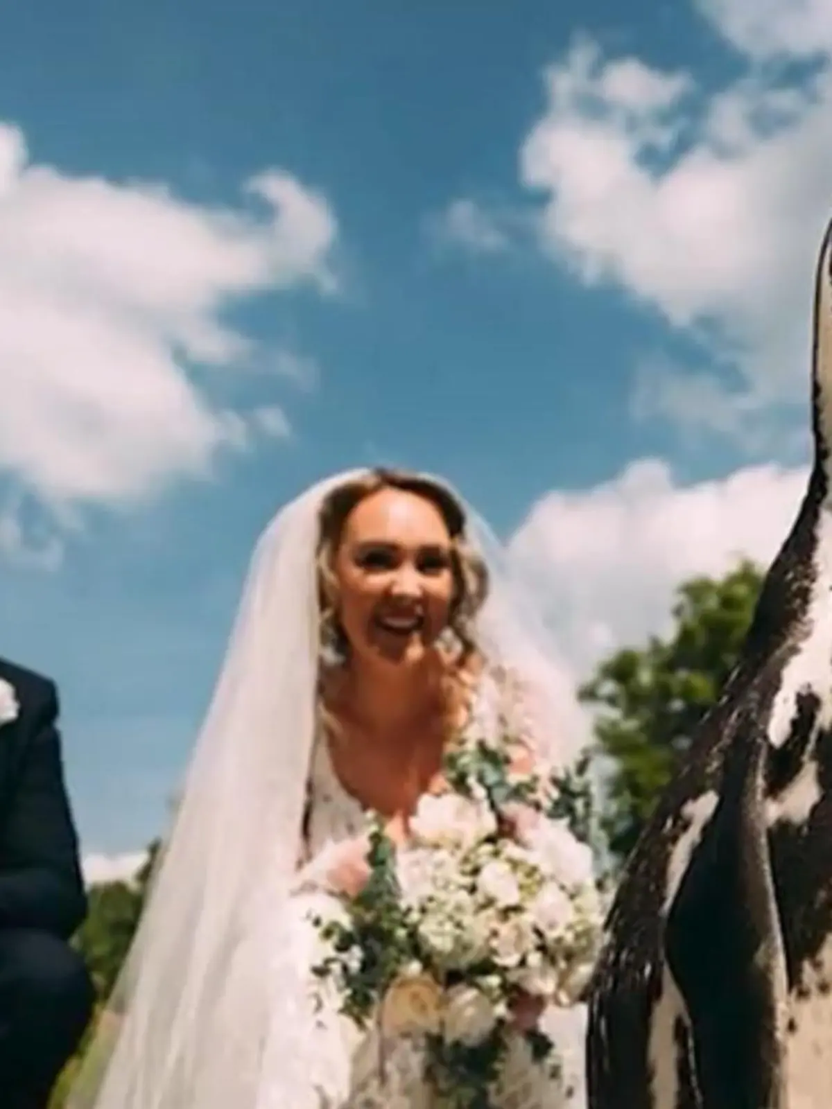 Die Braut Kerrilea Keilty liebt Pinguine. Deshalb überrascht ihr Mann Joey sie am Tag ihrer Hochzeit mit einem kleinen Pinguin als Ringträger. Die Braut ist gerührt von Joeys süßer Geste und auch die anwesende Hochzeitsgesellschaft ist von Pinguin Widget total verzückt.