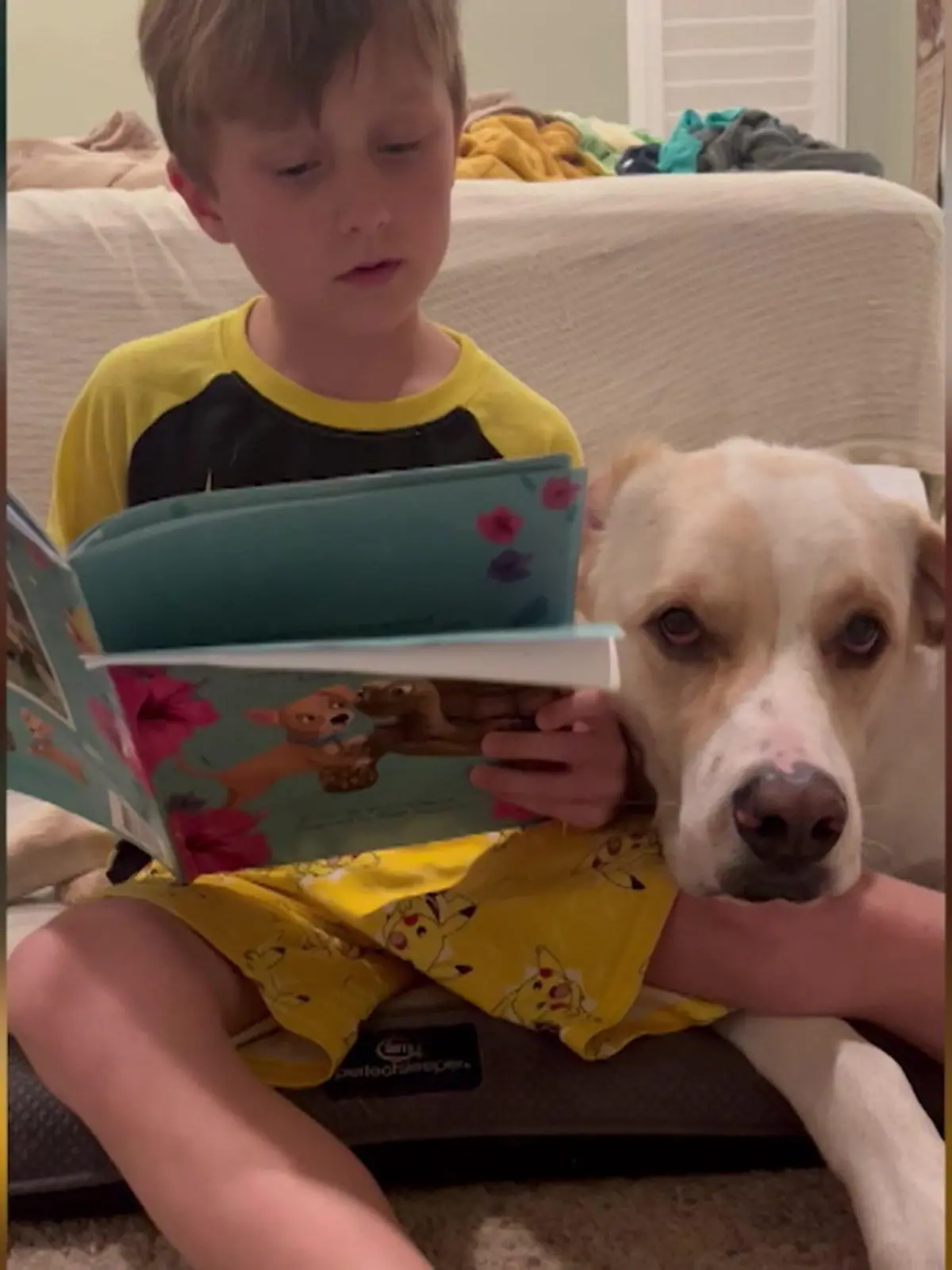 Roan und sein Hund Sammy sind unzertrennlich! Gegenseitig schenken sie sich Mut, die Dinge zu tun, vor denen sie sich fürchten. Für Sammy greift Roan sogar zum Buch! Den rührenden Moment seht ihr im Video.