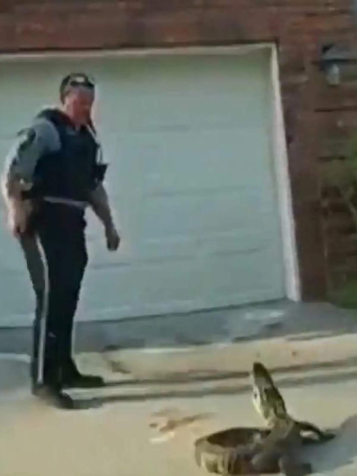 Diesen Einsatz wird der Beamte wohl so schnell nicht vergessen. Ein Alligator hat sich in ein Wohngebiet verirrt, muss eingefangen werden. Dann greift der Polizist zu! Wie es nach der Festnahme für das Reptil weitergeht, seht ihr im Video.