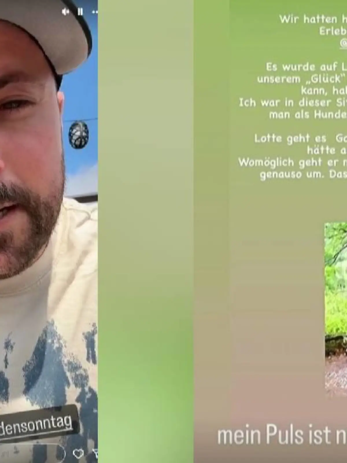Unter dem Hashtag #keinschoenerstartindensonntag berichtet GZSZ-Star Felix von Jascheroff vom Hunde-Drama im Berliner Tiergarten.