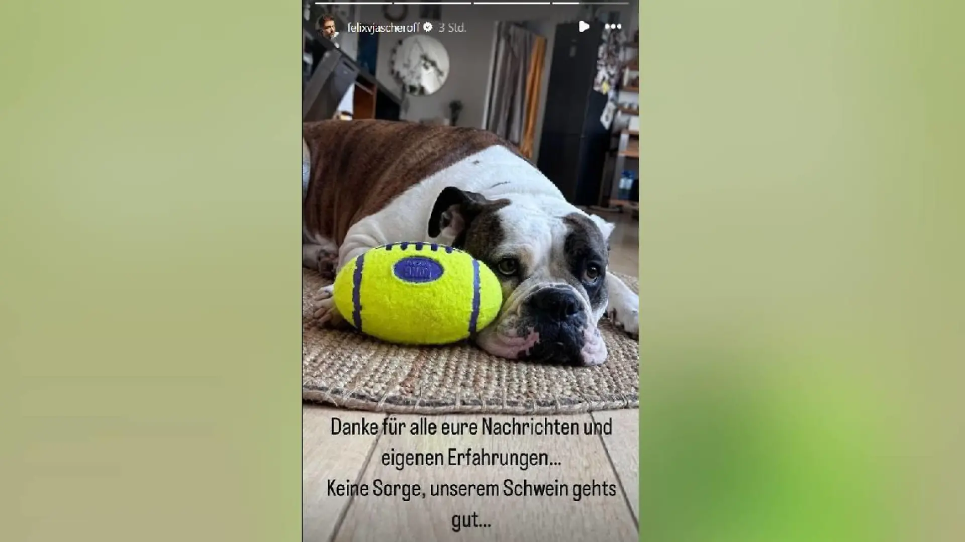 Noch mal mit dem Schrecken davongekommen! Felix von Jascheroffs Hündin Lotte geht es gut.