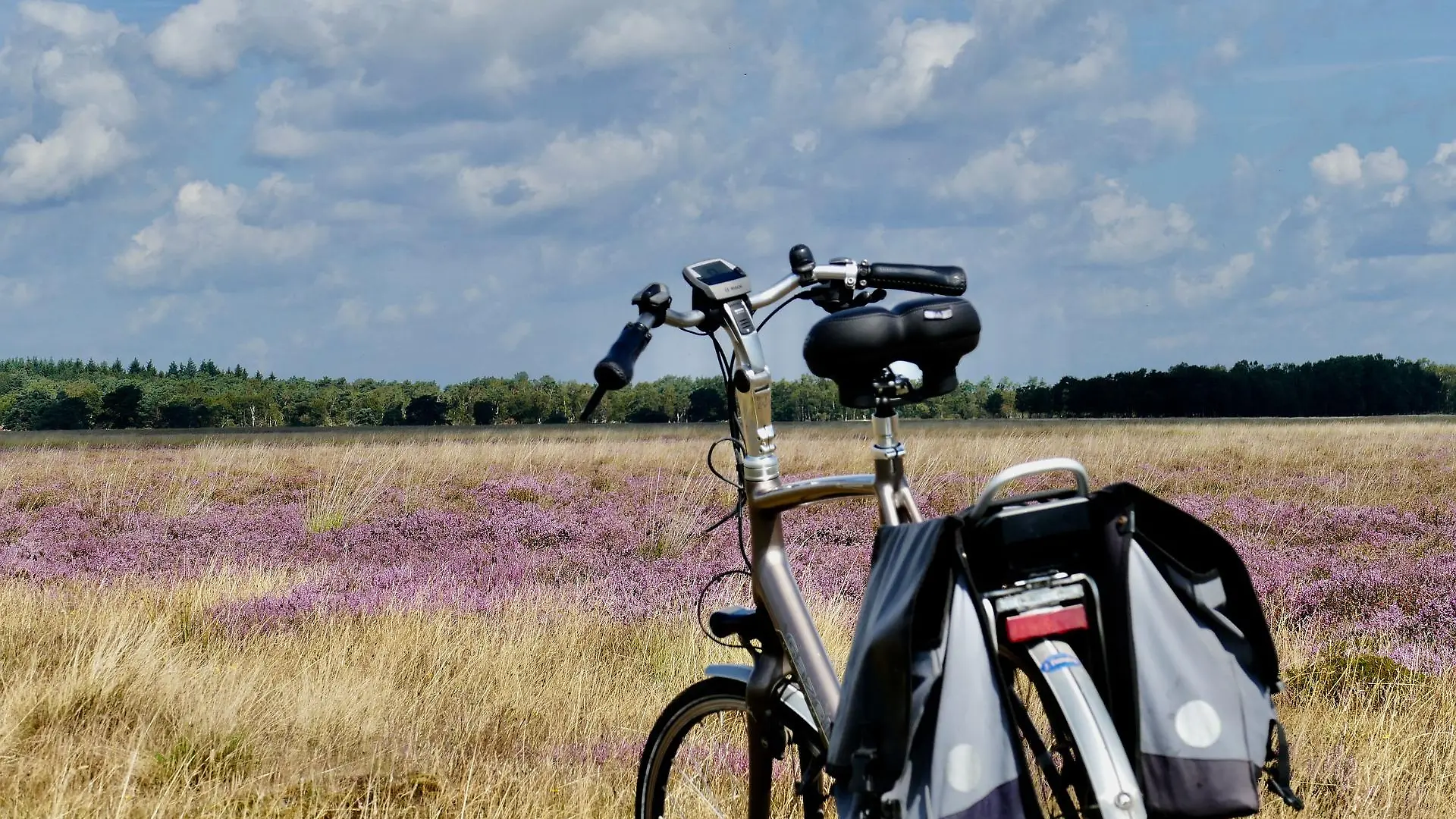 Die Lüneburger Heide ist nur eines der vielen Highlights im Norden, das man mit dem Fahrrad erkunden kann.
