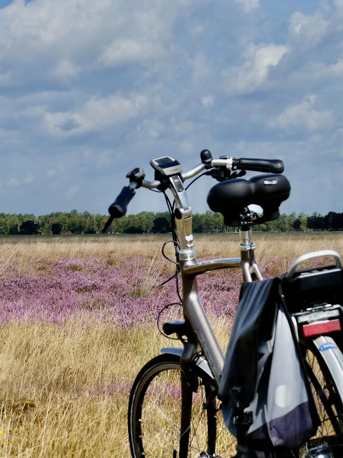 Die Lüneburger Heide ist nur eines der vielen Highlights im Norden, das man mit dem Fahrrad erkunden kann.
