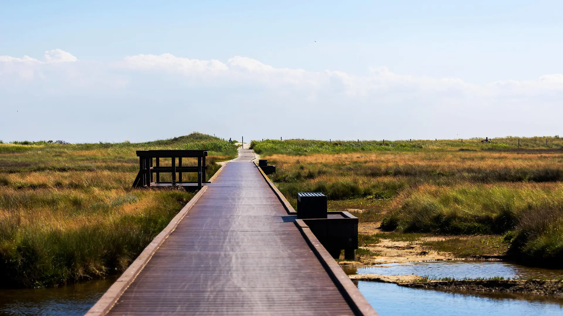 the nature and sea of the german island of borkum the nature and sea of the german island of borkum Copyright: xZoonar.com/TobiasxArhelgerx 20491730