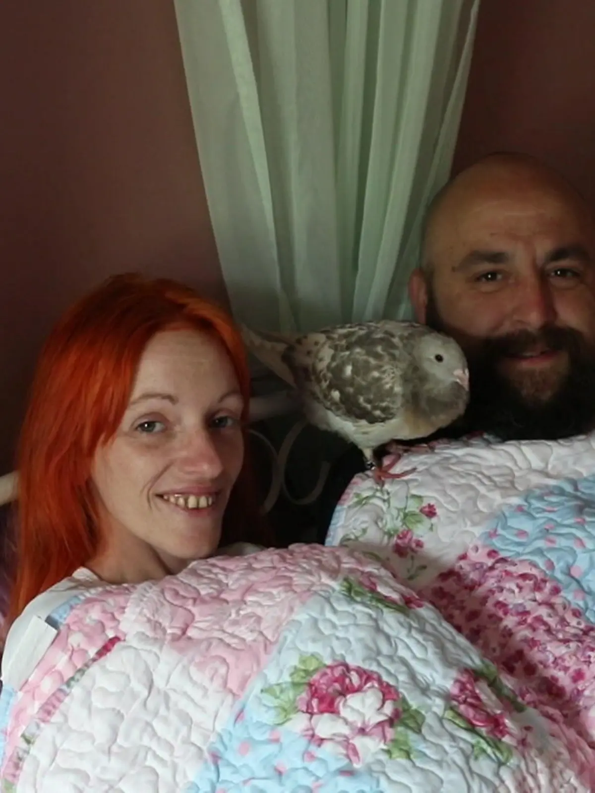 Im Bett mit...Vögeln! Ja, Antoine und seine Frau Lucie schlafen im Bett mit zwei Tauben. Zunächst war da nur Rosie, eine Taube, die sie gerettet haben. Nachdem die junge Familie den Vogel aufgepäppelt hat, wollte Rosie aber nicht mehr gehen. Das Paar behält die Taube, die sich als männliche Taube entpuppt hat. Und damit sie nicht so alleine ist, besorgt die Familie tatsächlich noch eine zweite Taube. Was ihre Familien zu dem besonderen Zusammenleben sagt, zeigen wir euch im Video.
