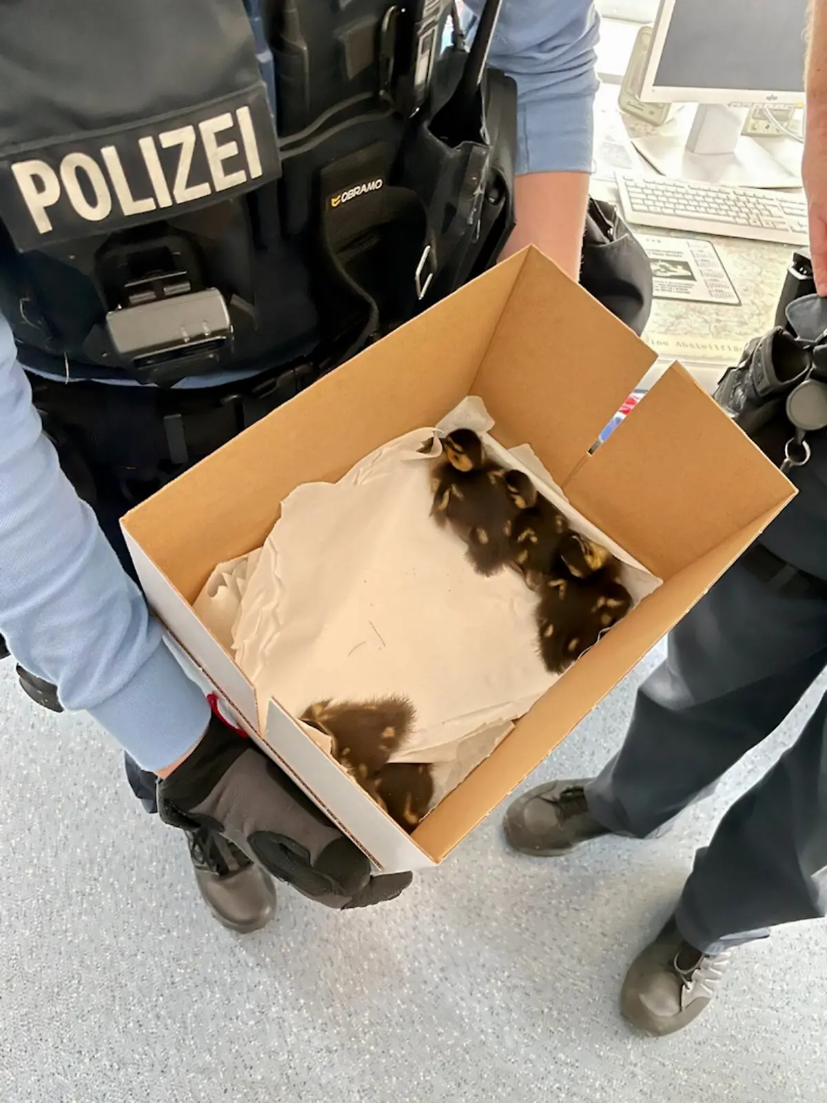 Polizisten retten Enten von der A 7 bei Braunatal.