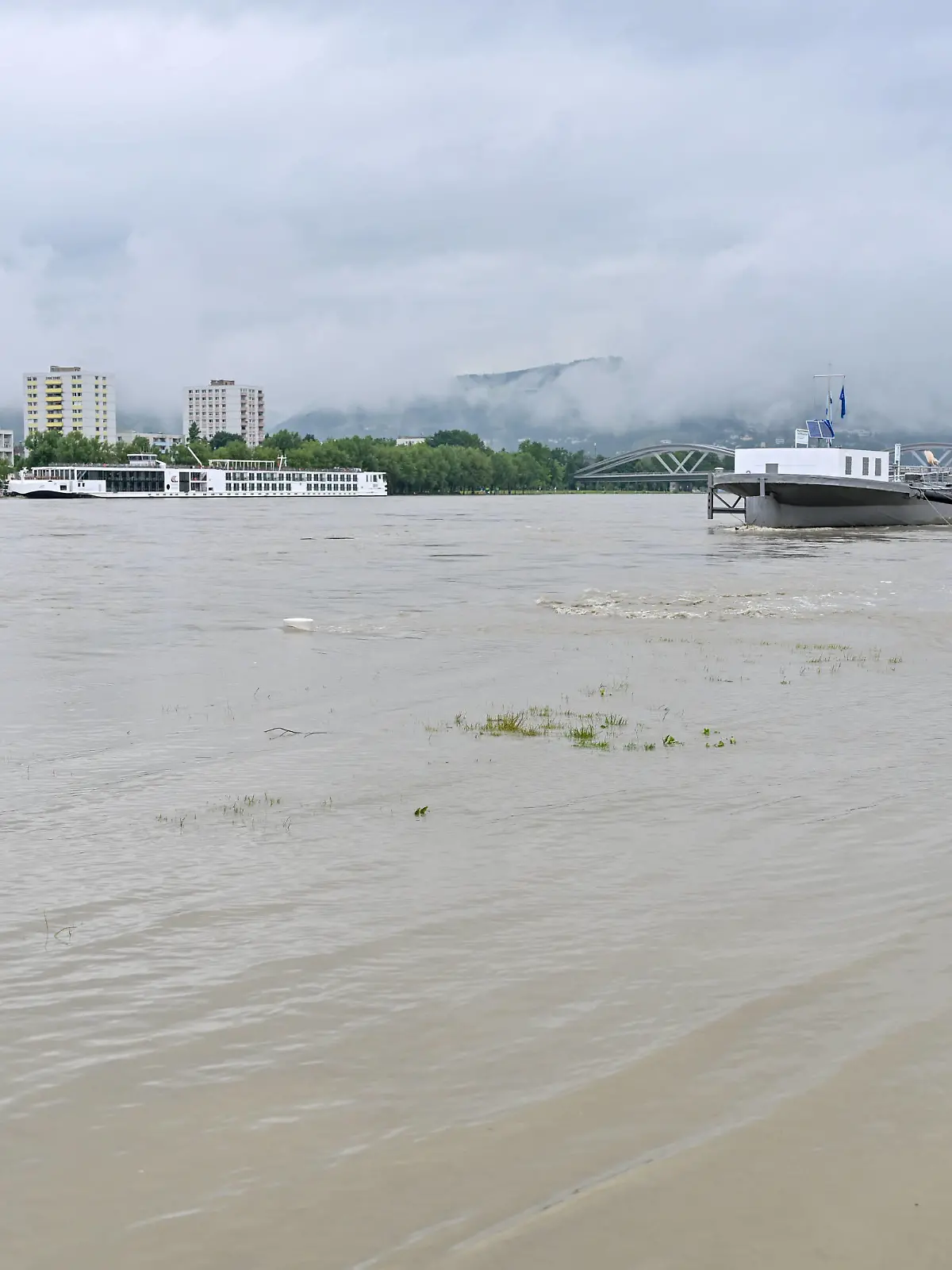 Linz, Urfahr, Hochwasser 04.06.2024, Linz, AUT, Urfahr, Hochwasser, im Bild Donau, Donaulaende Linz, Lentos, Schiffsanlegestelle Oberoesterreich *** Linz, Urfahr, flood 04 06 2024, Linz, AUT, Urfahr, flood, in the picture Danube, Danube end Linz, Lentos, landing stage Upper Austria Linz, Urfahr, Donau, Hochwasser, 04.06.2024-5
