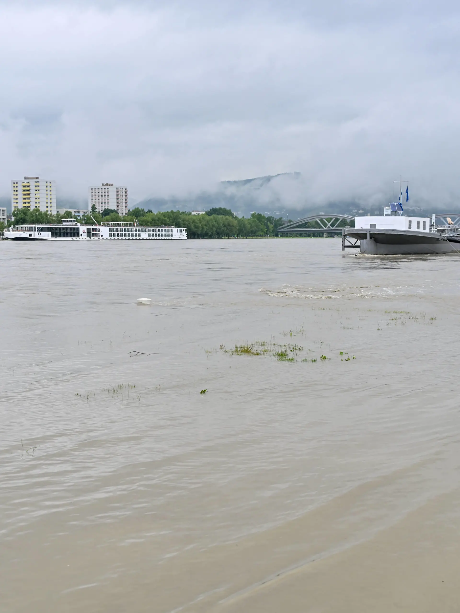 Linz, Urfahr, Hochwasser 04.06.2024, Linz, AUT, Urfahr, Hochwasser, im Bild Donau, Donaulaende Linz, Lentos, Schiffsanlegestelle Oberoesterreich *** Linz, Urfahr, flood 04 06 2024, Linz, AUT, Urfahr, flood, in the picture Danube, Danube end Linz, Lentos, landing stage Upper Austria Linz, Urfahr, Donau, Hochwasser, 04.06.2024-5