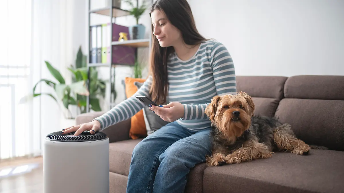 Young woman using smartphone to set up a home air purifier.