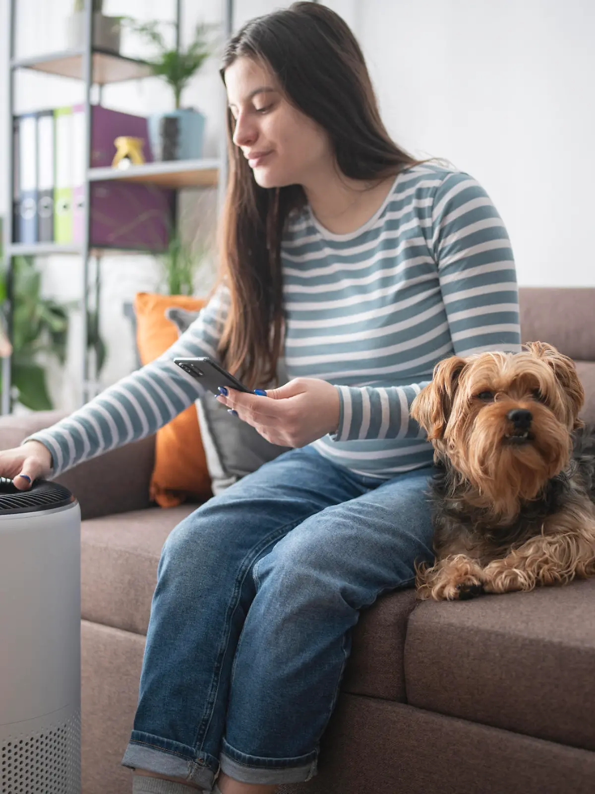 Young woman using smartphone to set up a home air purifier.