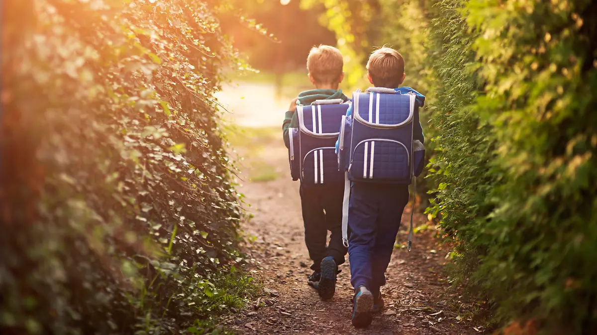 Two little boys wearing blue backpacks or schoolbags walking in a narrow dirt path between fences. The fences are bursting with vegetation - lots of green leaves, bushes and trees surround the boys. Little brothers are either going to school in the morning or returning from school in the evening.