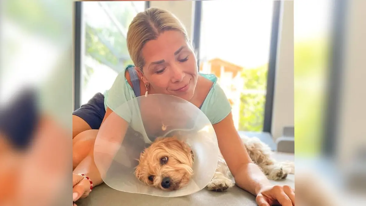 Tanja Szewczenko in Sorge um Familienhund Guido
