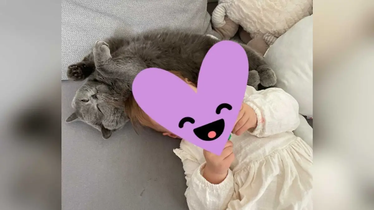 Die fast zweijährige Tochter von Tamara und Marco Schmidt vermisst den Familienkater.