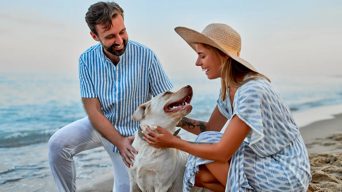 A cute woman in a dress and a straw hat and a handsome man in a striped shirt with their labrador dog are having fun on the seashore.