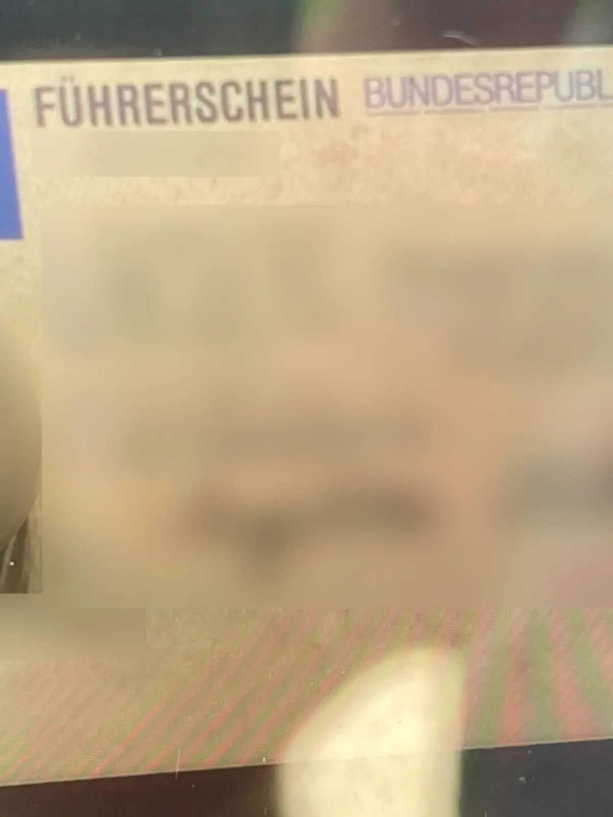 RTL liegt ein Bild des Führerscheins der Festgenommenen vor.