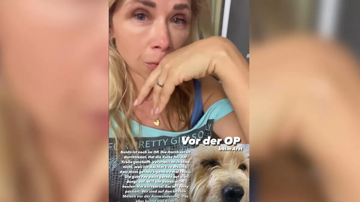 Die Not-OP ihres Vierbeiners nimmt Tanja Szewczenko sichtlich mit.