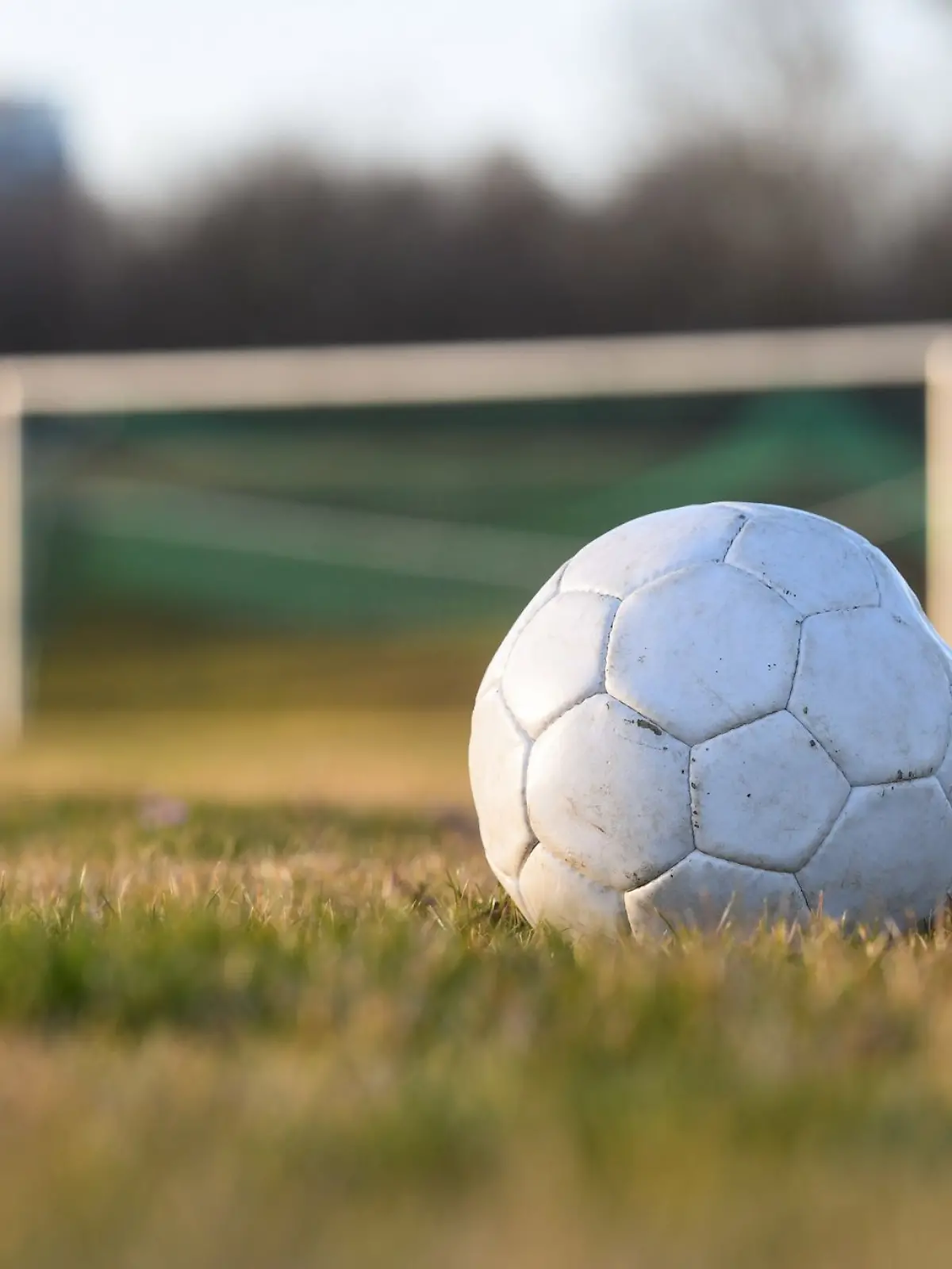 Bild zu: "Gioele (10) von Fußballtor getötet"
