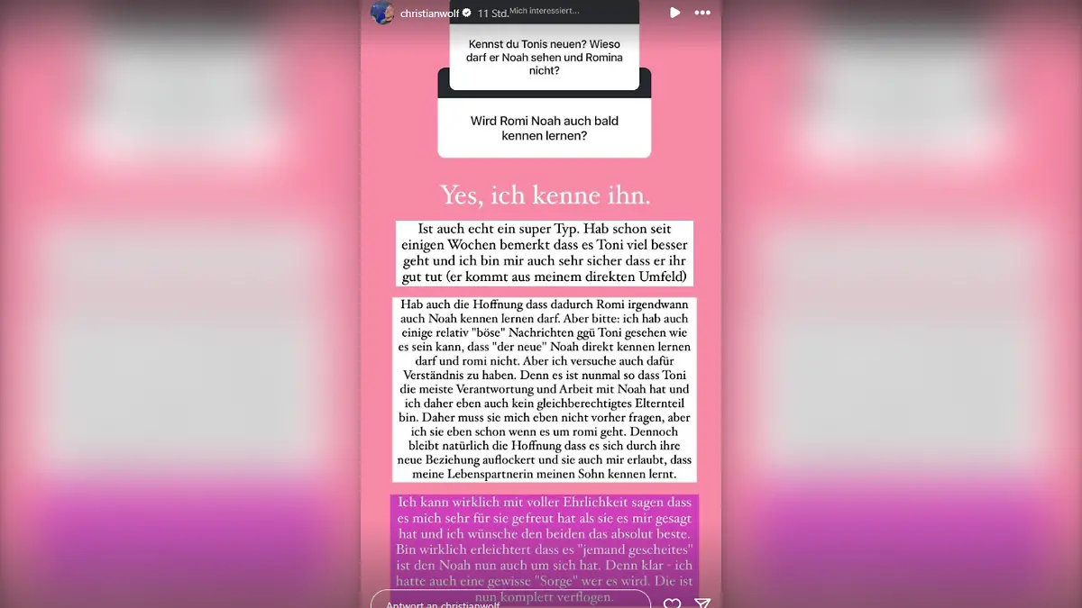 Statement von Christian Wolf