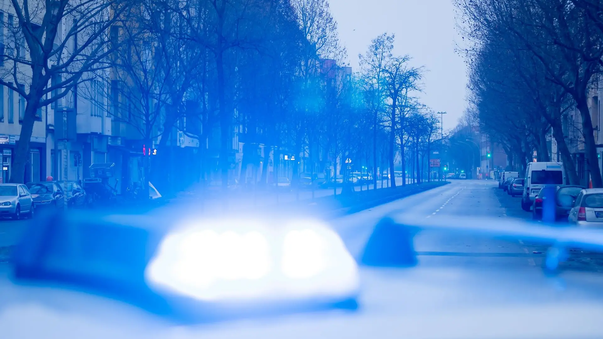 Ein Blaulicht leuchtet auf dem Dach eines Streifenwagens der Polizei.