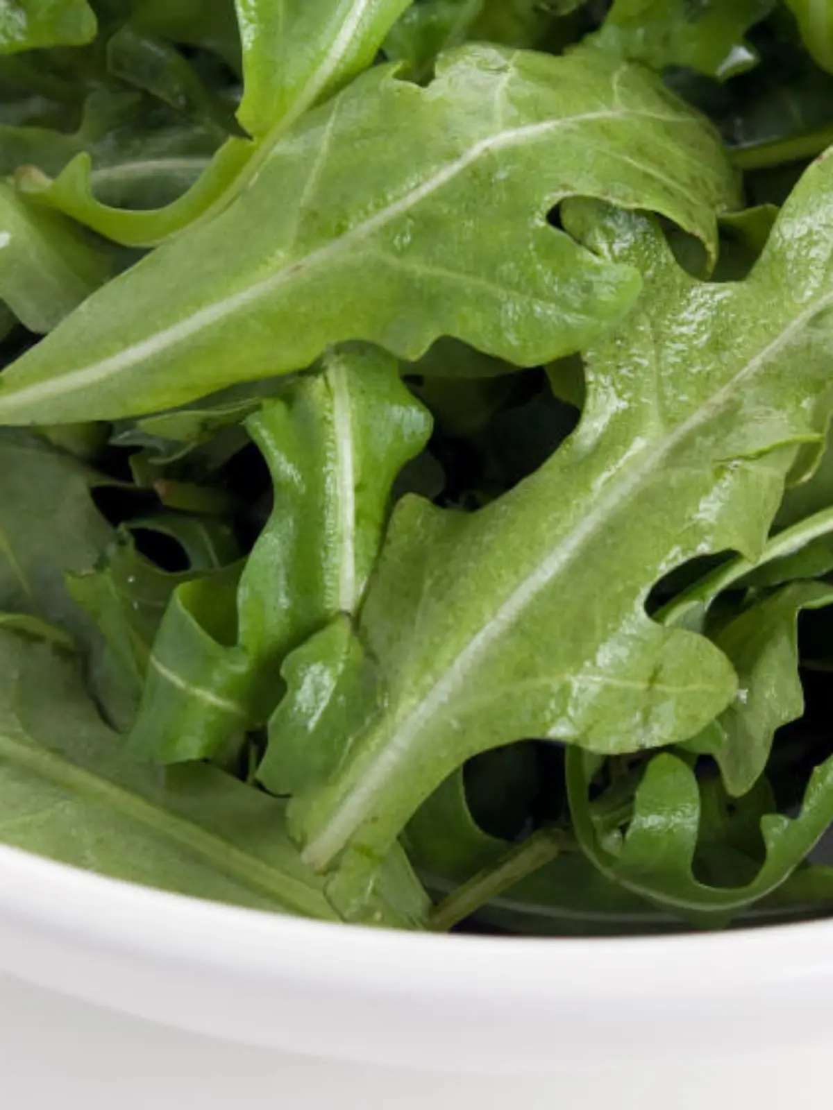 Closeup of fresh raw rocket (ruccola) greens in a white bowl.