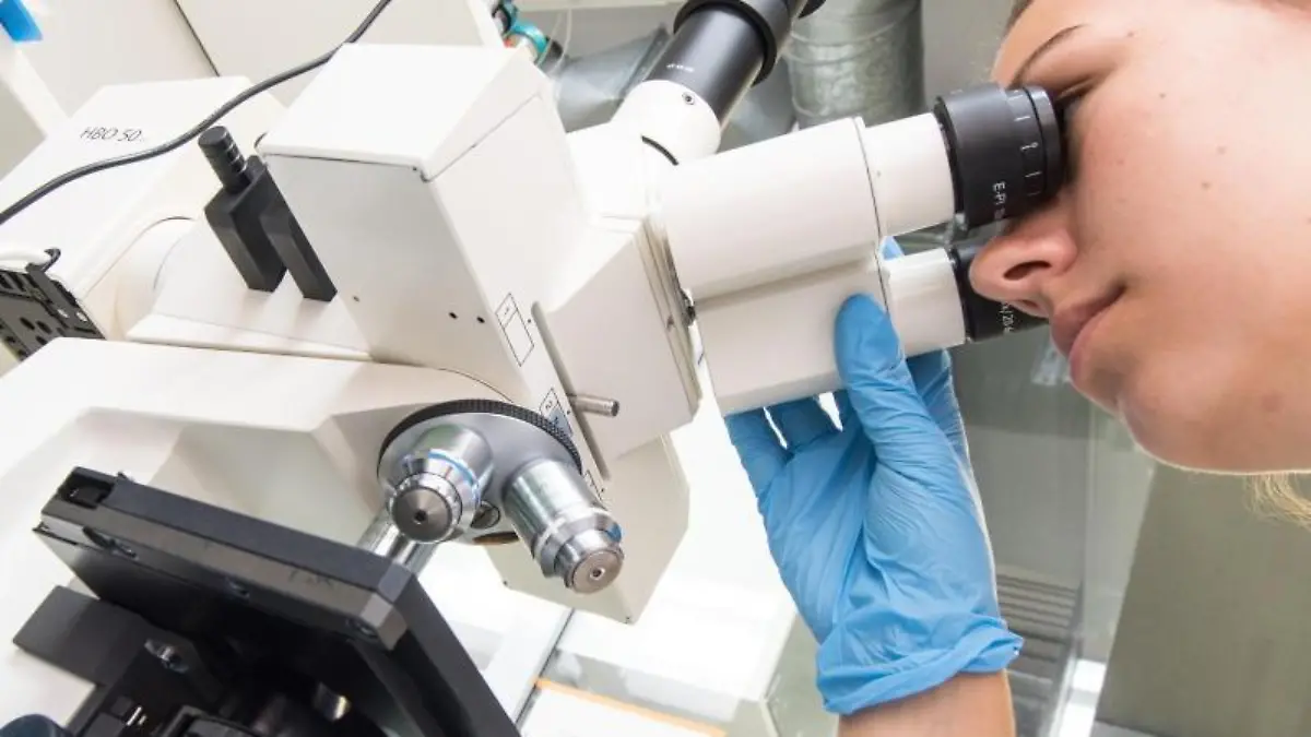 Wissenschaftlerin schaut durch ein Mikroskop