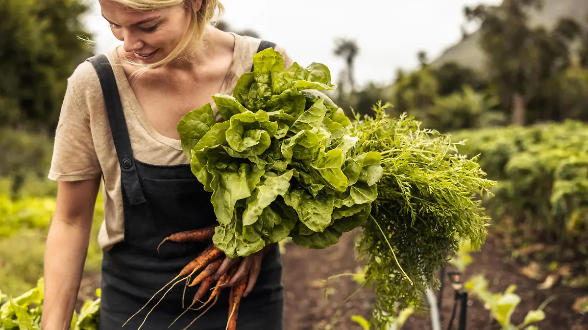 Smiling organic farmer holding freshly picked vegetables in an agricultural field. Self-sustainable young woman gathering fresh green produce in her garden during harvest season.