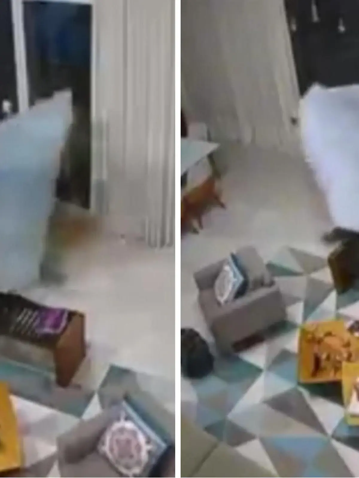 Hier geistern echte Gauner durch eine Wohnung einer fünfköpfigen Familie. Die in Laken gehüllten Diebe räumen ganz dreist eine Wohnung in Rio de Janeiro aus. Ob ihre Tarnung erfolgreich verlaufen ist oder ob die Polizei die Räuber schnappen konnten, verraten wir euch im Video.