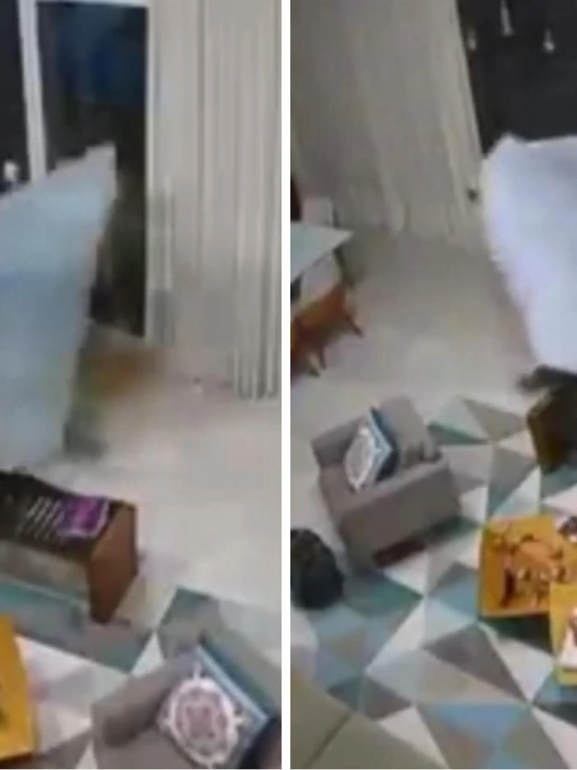 Hier geistern echte Gauner durch eine Wohnung einer fünfköpfigen Familie. Die in Laken gehüllten Diebe räumen ganz dreist eine Wohnung in Rio de Janeiro aus. Ob ihre Tarnung erfolgreich verlaufen ist oder ob die Polizei die Räuber schnappen konnten, verraten wir euch im Video.