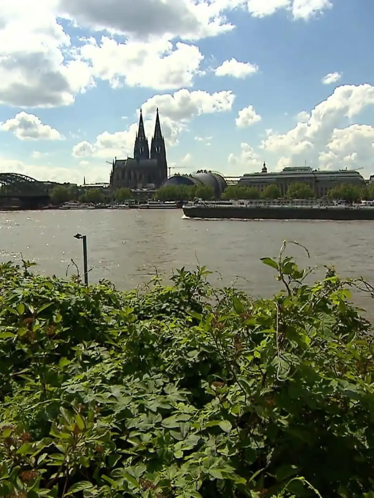 Bild zu: "Umzug nach Köln"