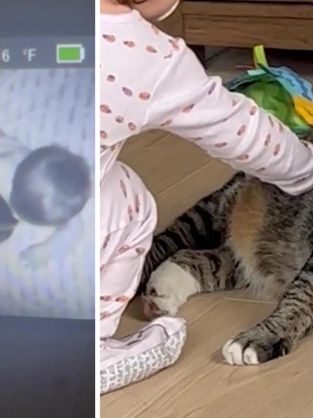 Eine junge Straßenkatze kann ihre Babys nicht versorgen und diese sterben. Die Katze kommt nicht mit diesem schlimmen Verlust klar und entwickelt ein aggressives Verhalten. Julia Stuller lässt sich trotzdem nicht davon abhalten, das Kätzchen zu adoptieren. Als Julia dann schwanger wird, ändert die Katze Callie ihr Verhalten radikal: Sie wird verschmust und zutraulich. Julias Baby Emma kann die Lücke in Callies Leben füllen, die ihre verstorbenen Kätzchen hinterlassen haben.