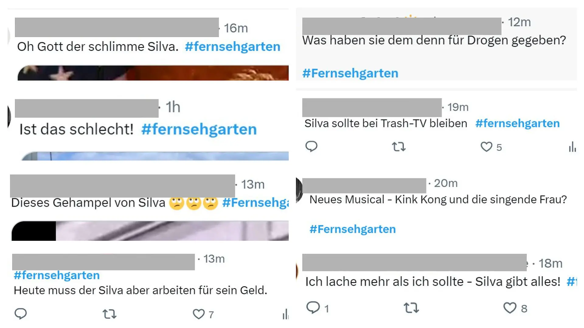 Die Kommentare auf der Social-Media-Plattform X waren leider gar nicht schmeichelhaft für Silva Gonzalez