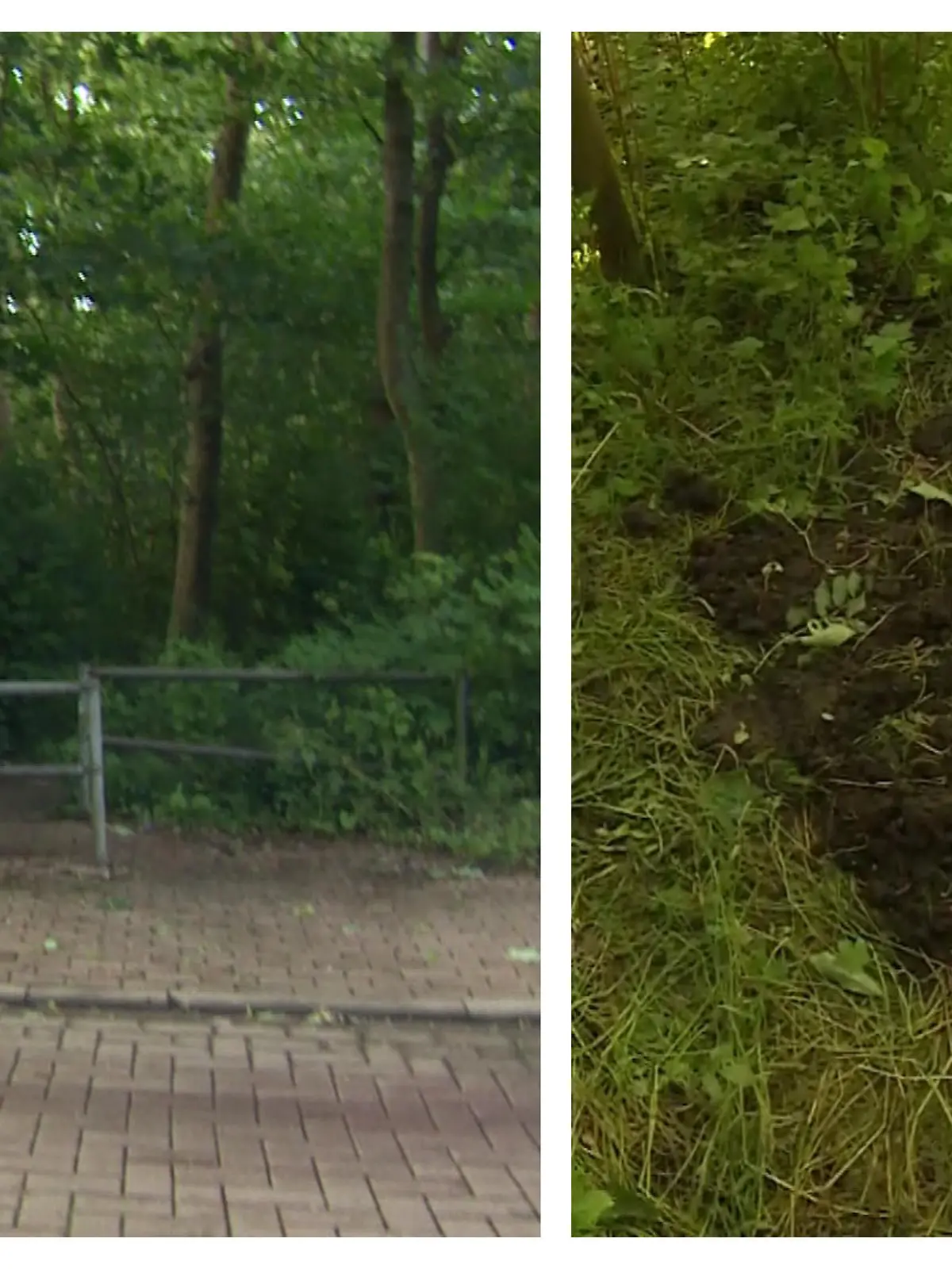 - In einem Waldstück in Niebüll in Schleswig-Holstein ist eine 21-jährige Frau tot gefunden worden. Aufgrund der Auffindesituation der Leiche und der Obduktion werde von einem Tötungsdelikt ausgegangen, teilten die Polizeidirektion Flensburg und die