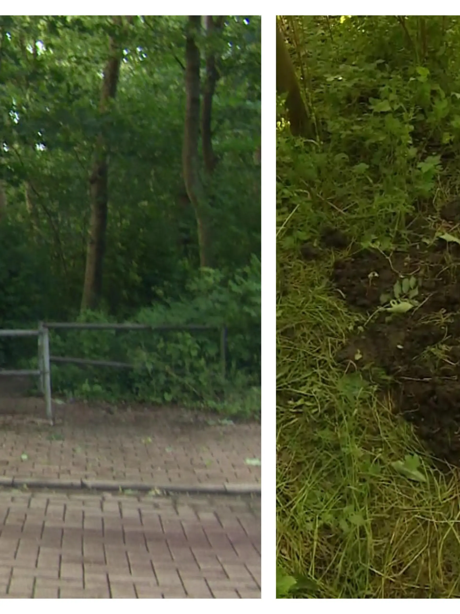 - In einem Waldstück in Niebüll in Schleswig-Holstein ist eine 21-jährige Frau tot gefunden worden. Aufgrund der Auffindesituation der Leiche und der Obduktion werde von einem Tötungsdelikt ausgegangen, teilten die Polizeidirektion Flensburg und die