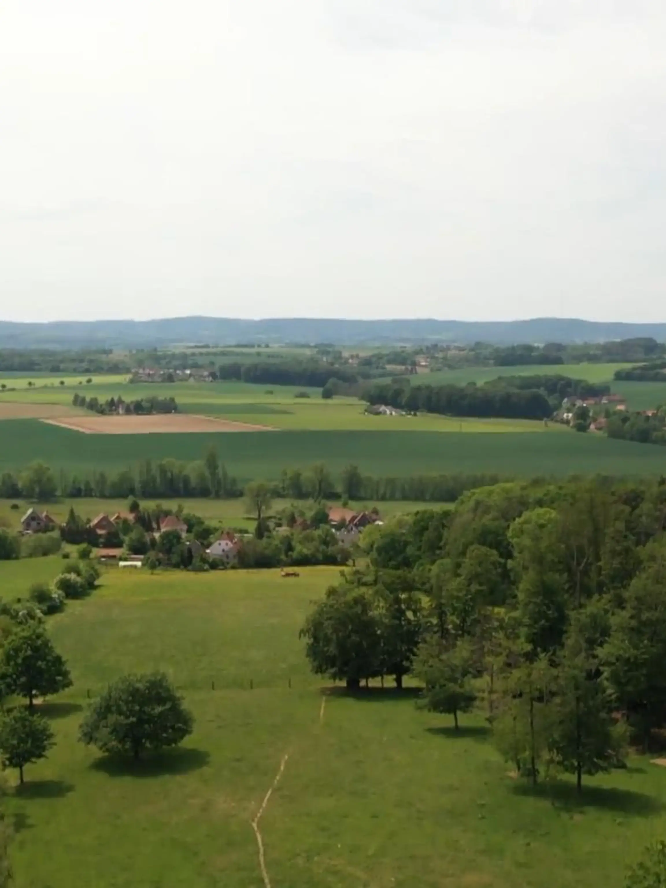 Bild zu: "Klimaklage in Detmold"