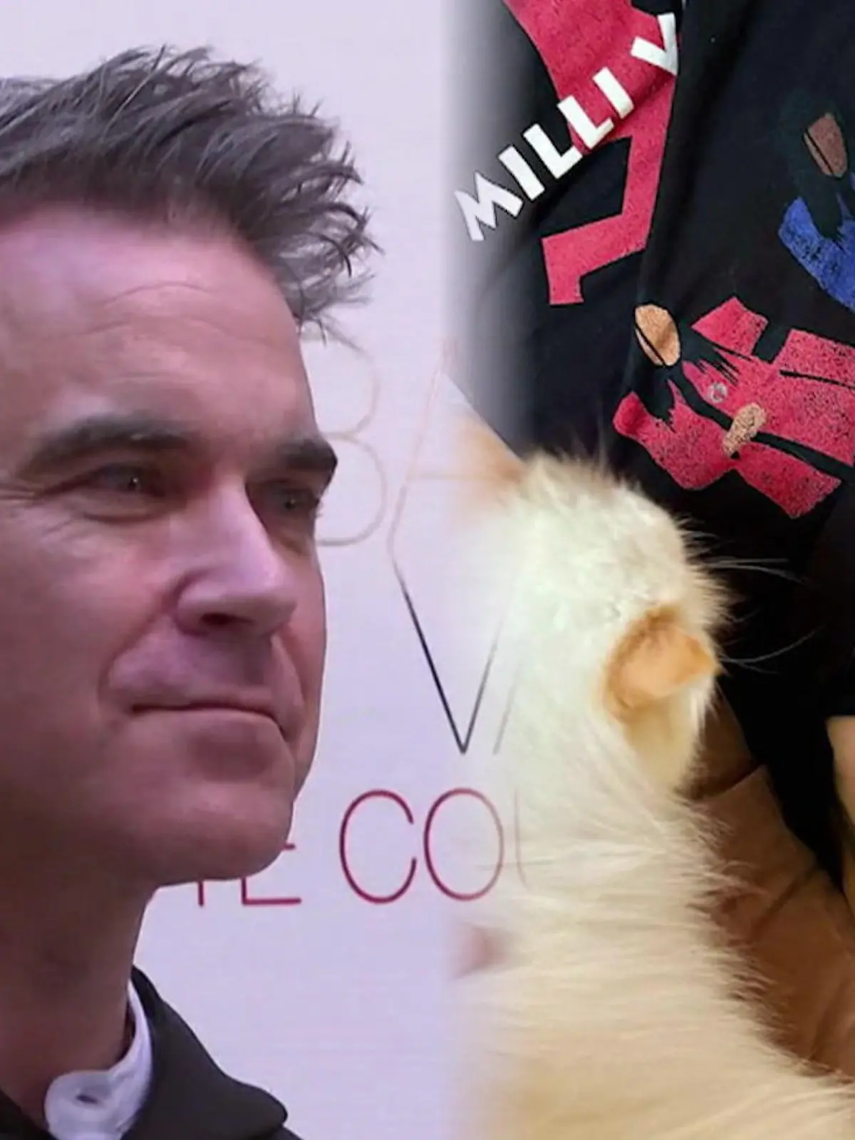 Bild zu: "Ist Robbie Williams zu dünn geworden?"