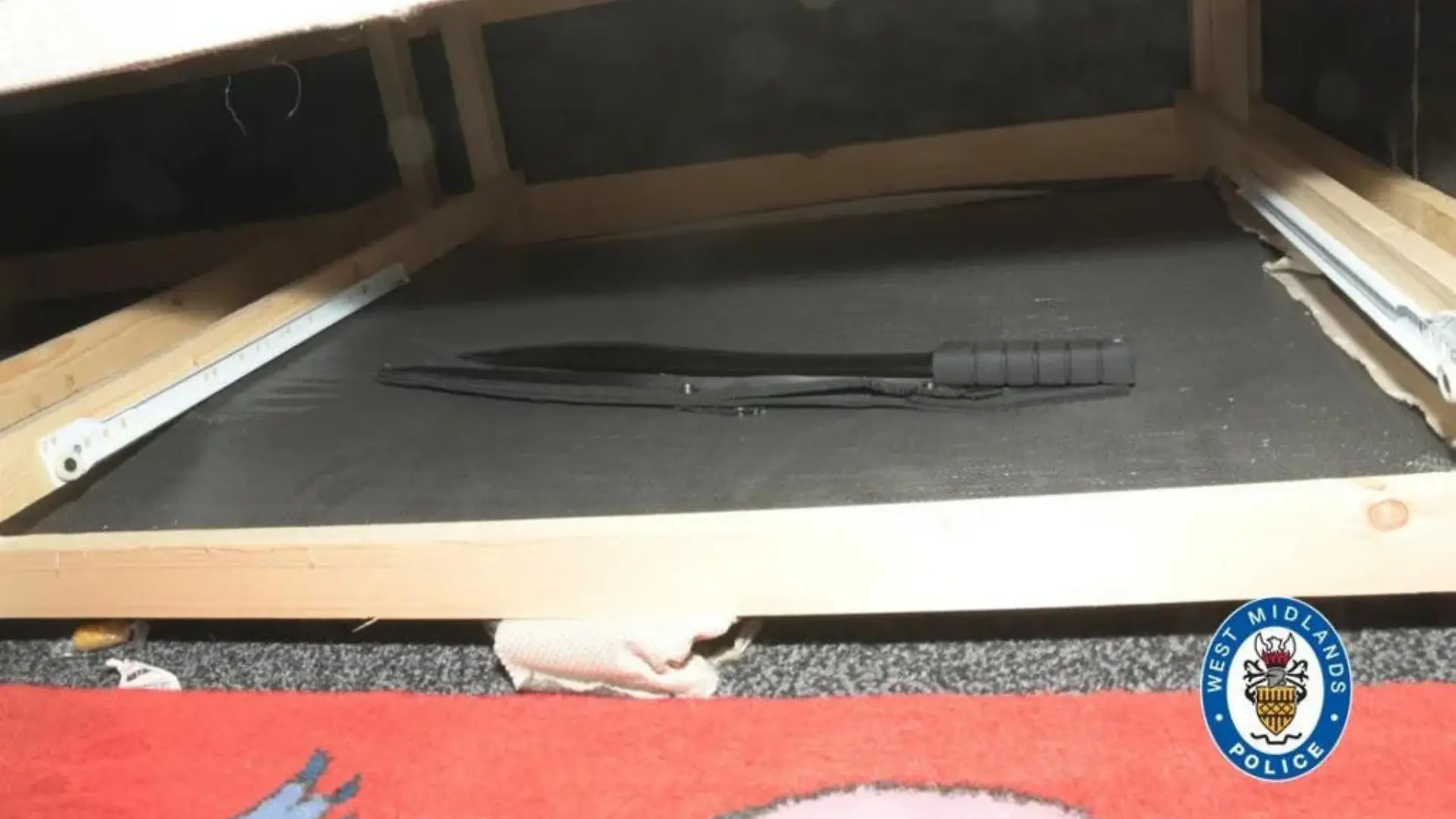 Mit dieser 42,5 Zentimeter langen Machete haben die Zwölfjährigen Shawn getötet.