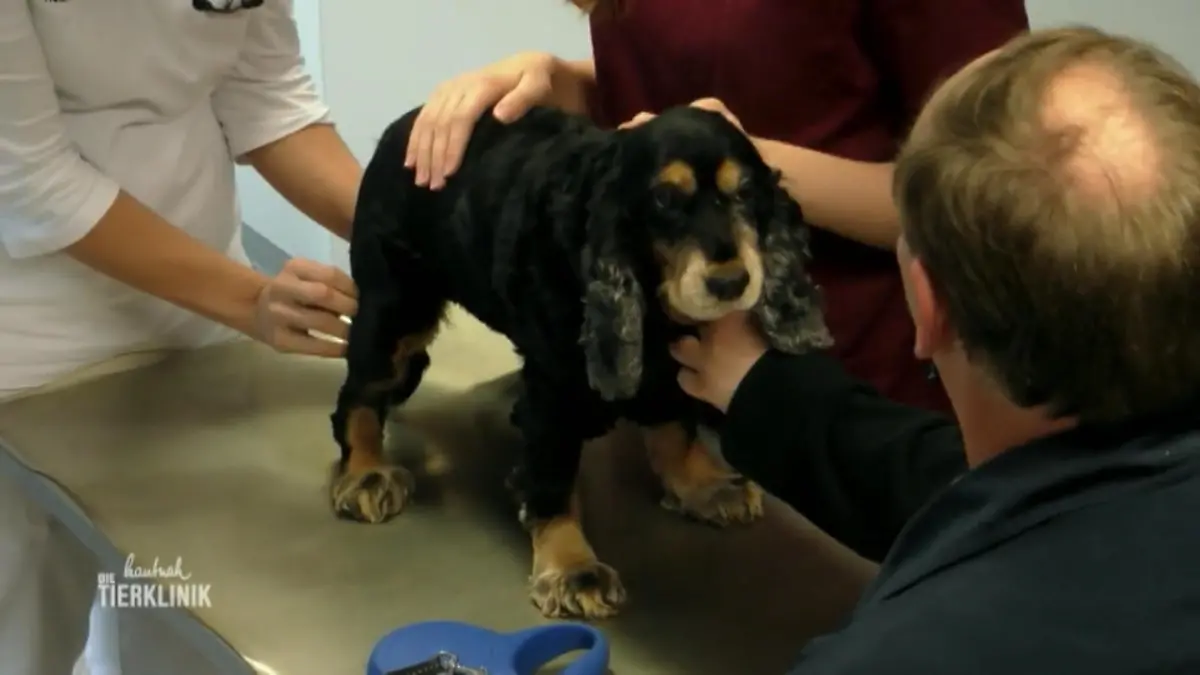 Hat Lilliys Tumor gestreut? Böser Verdacht