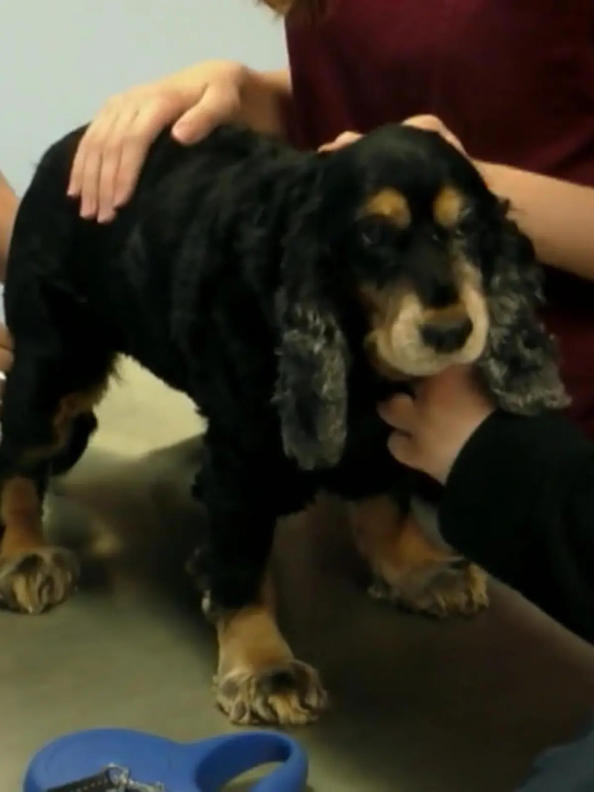 Bild zu: "Hat Lilliys Tumor gestreut?"