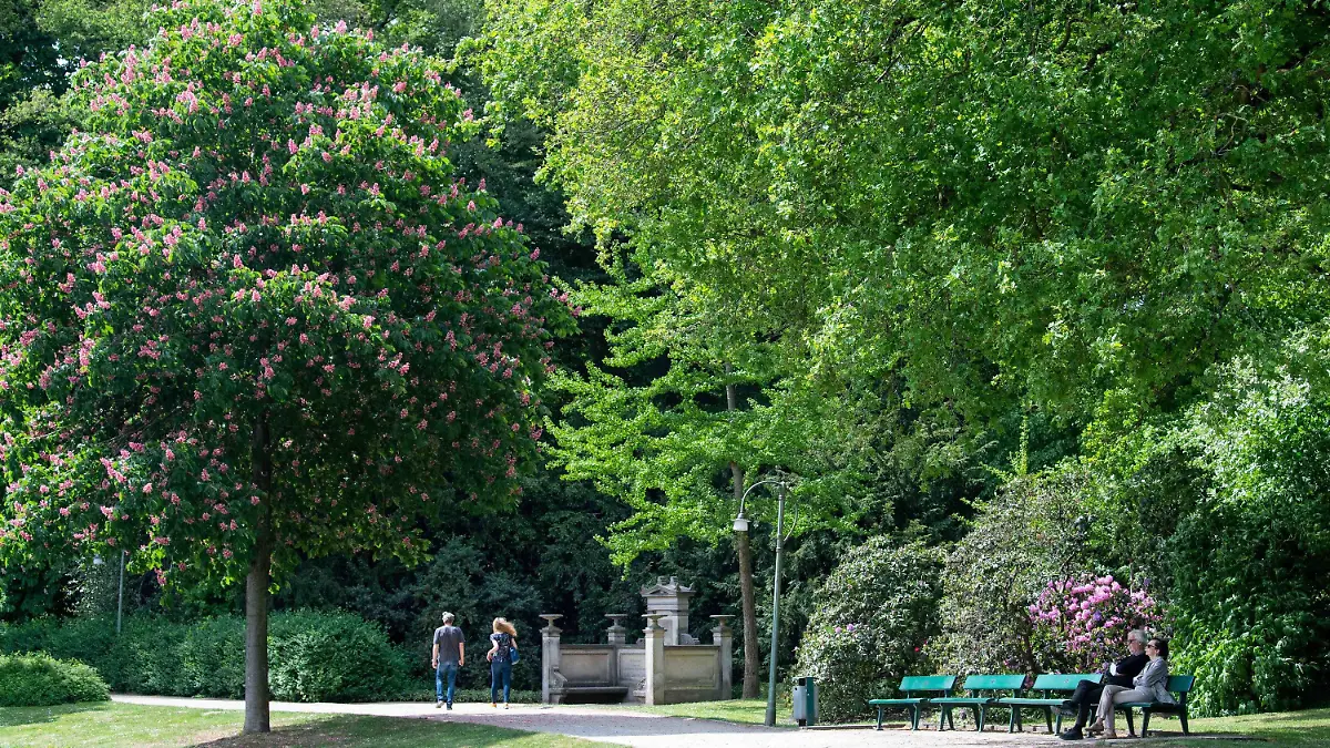 16.05.2022, Bremen: Zwei Personen sitzen auf einer Bank im Bürgerpark. Foto: Melissa Erichsen/dpa +++ dpa-Bildfunk +++