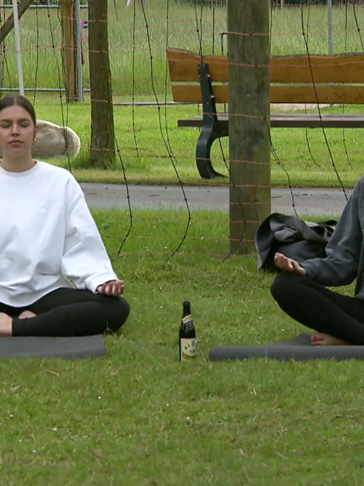 Bild zu: "Alpaka-Bier-Yoga"