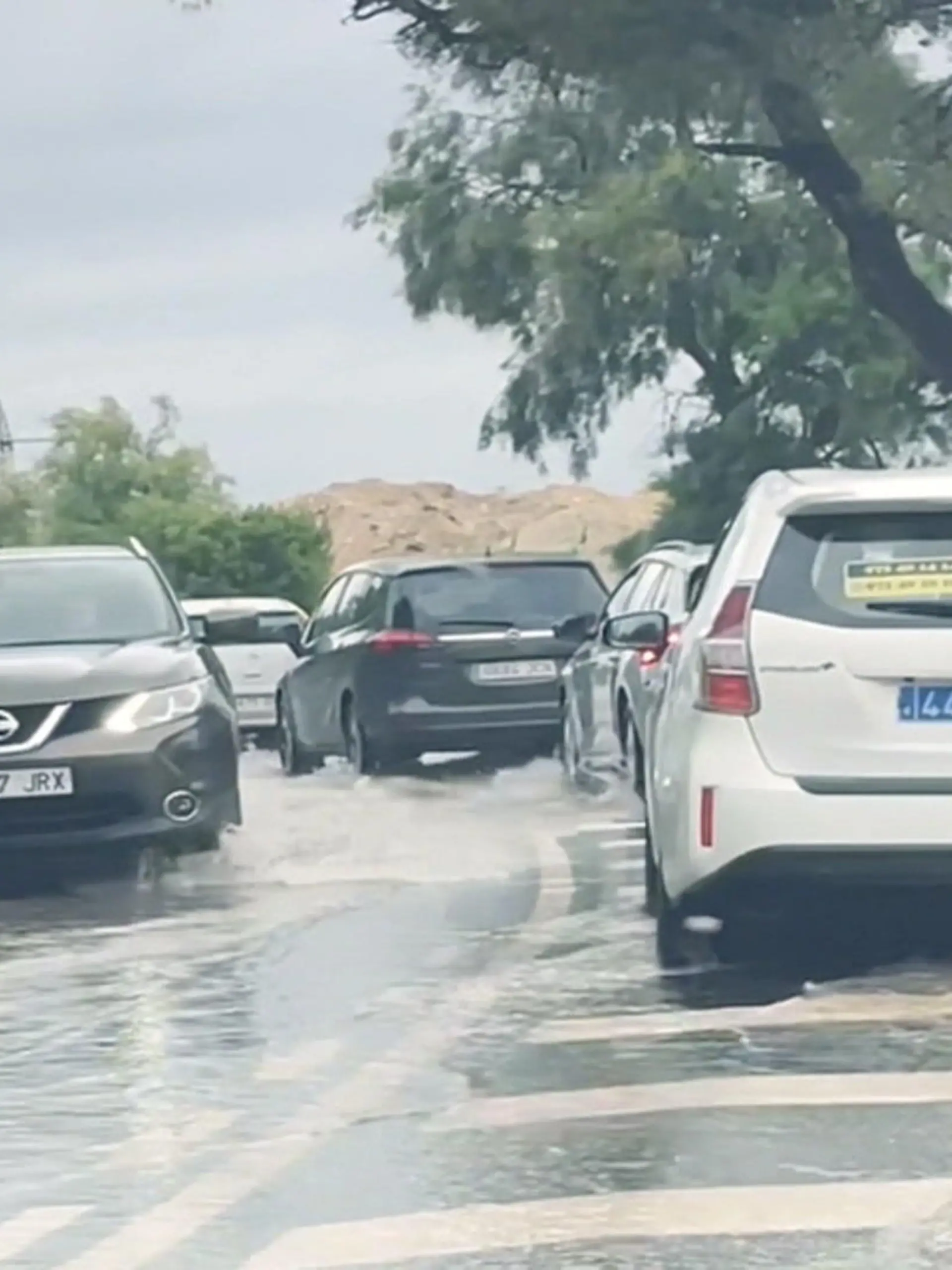 Bild zu: "Regen-Chaos auf Mallorca"