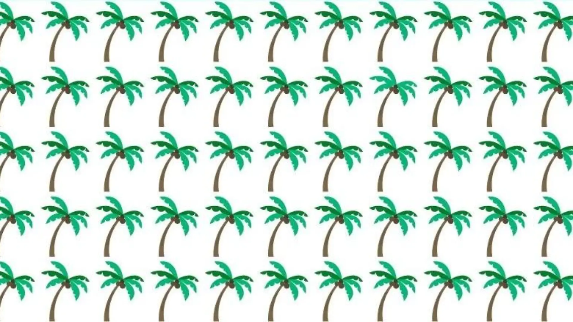 Suchbild Palme