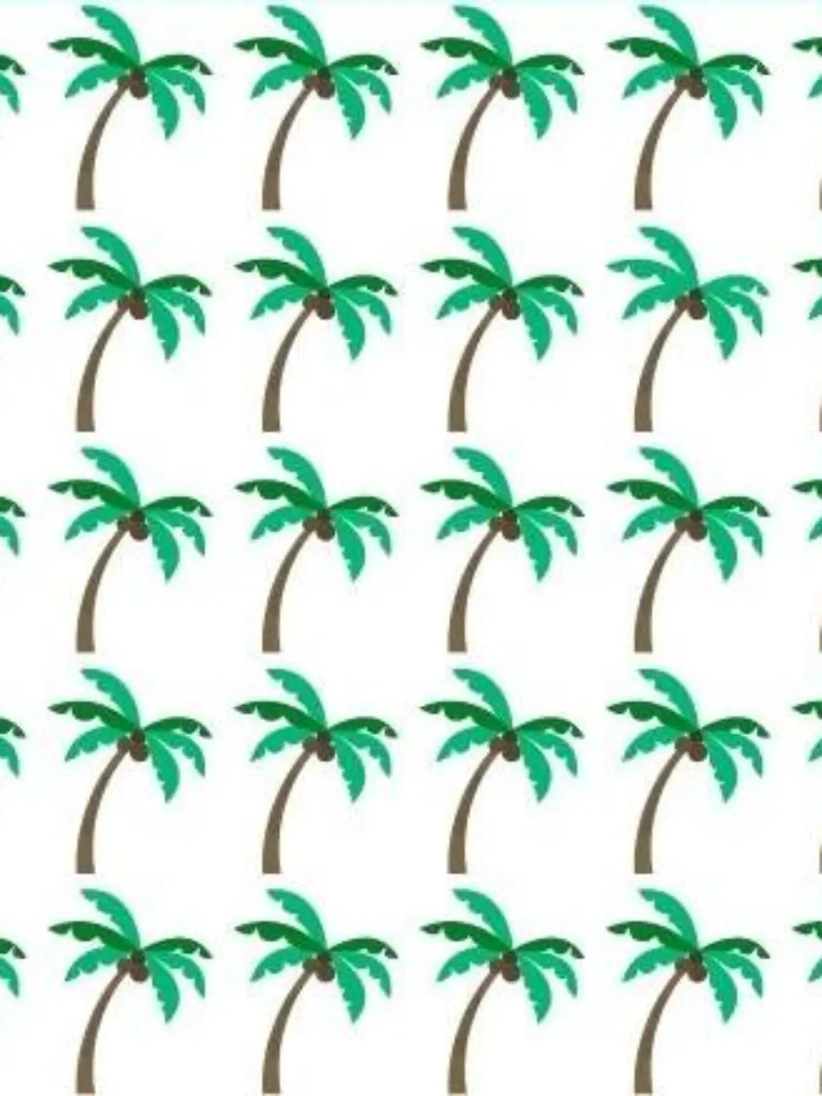Suchbild Palme